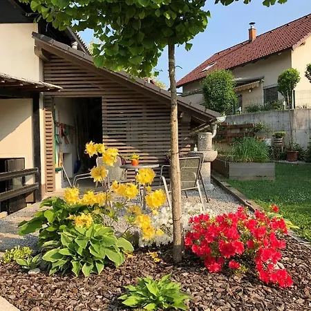 Apartma Nomad Novo Mesto Exterior photo