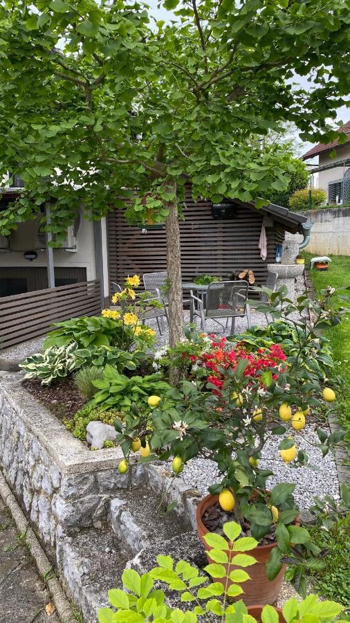 Apartma Nomad Apartment